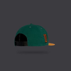 Blur Snapback Forest Night