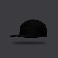 DLYNR 3D Logo Snapback