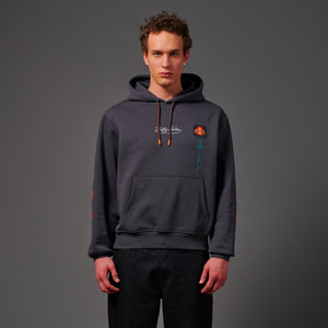 Charizard Evolution Hoodie