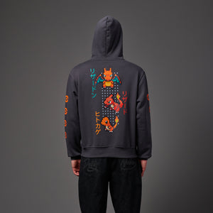Charizard Evolution Hoodie