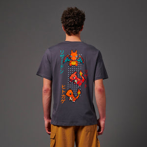 Charizard Evolution Tee