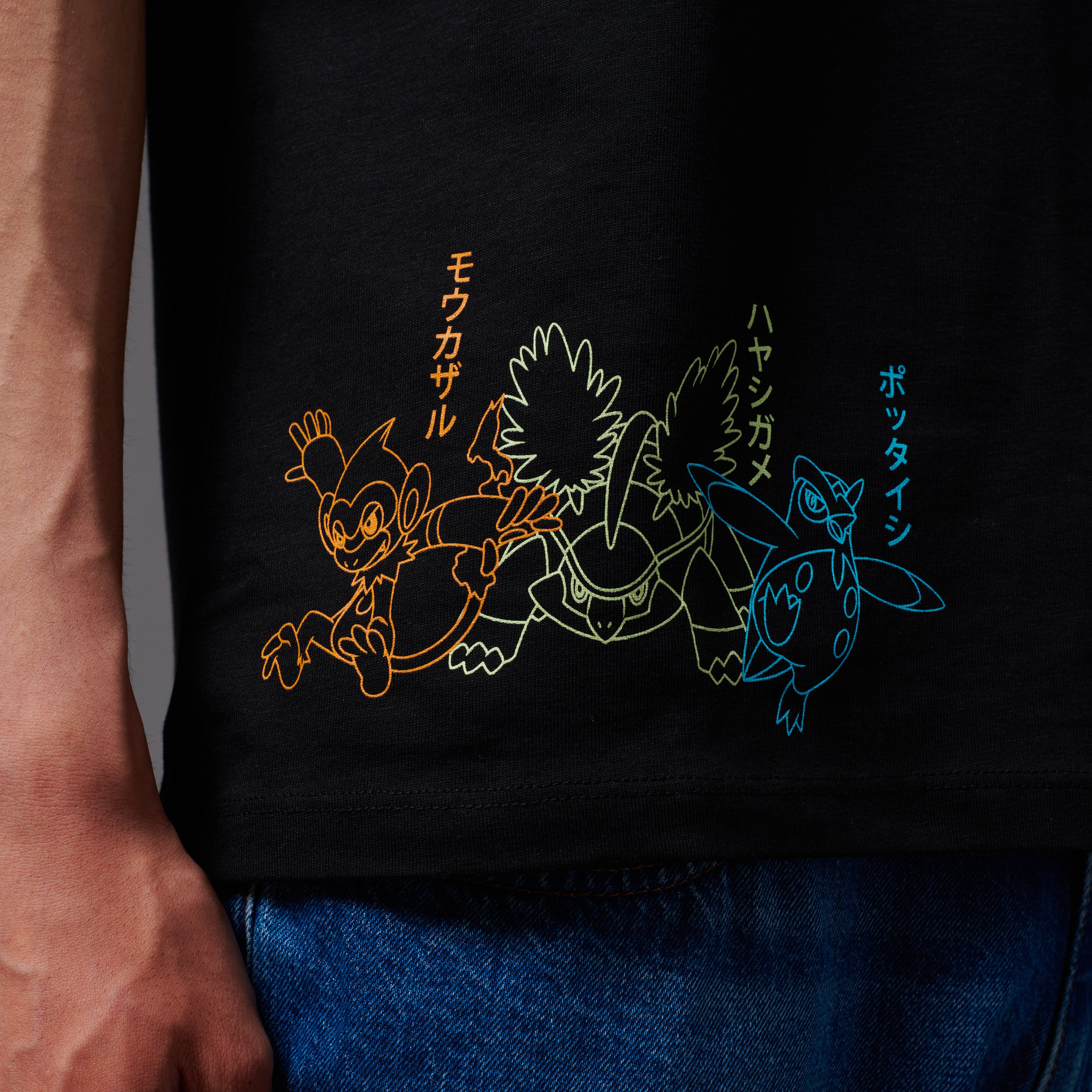 Dolly Noire / Pokémon Sinnoh Region Starters Evolution Tee