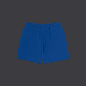 Logo Swimshorts Blue