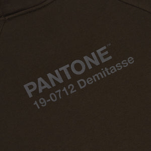 DLYNR / Pantone  Hoodie Brown